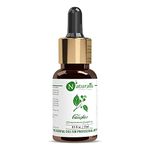 Naturalis Essence of Nature Camphor Essential Oil for Skin & Hair Care - 15ml