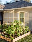 Gardener's Supply Company Tomato Si