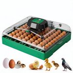 Egg Incubator for Chicken Eggs, 72 Egg Large Capacity with Automatic Egg Turner and Humidity Control, Egg Hatching Incubator for Chicken, Quail, Duck & Geese for Farm & Classroom