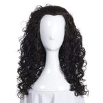 FVCENT Long Curly Fluffy Wavy Long black curly hair Wig Halloween Costume Cosplay Wig (Black)