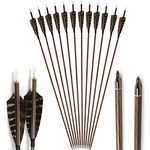 12Pcs 31inch Archery Arrows Pure Carbon Arrow Hunting Target Practice Arrows 400/500/600 Spine with 4" Real Feather Removable Tips/Points for Recurve Bow Compound Bow Longbow (Spine 600)