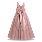 Flower Girl Dress Kids First Communion Dress Sleeveless V-Neck Mesh Tulle Tutu Princess A-line Puffy Wedding Junior Bridesmaid Evening Formal Party Pageant Birthday Prom Gown Dusty Pink 11-12 Years