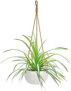 BELLE VOUS Maceteros Colgantes Cerámica Blanca Interior/Exterior 69 cm - Macetas Colgantes Cesta de Macramé Cuerda con Bucle - Macetero Colgante Uso Decorativo Jardines y Hogar – Tiesto Colgante