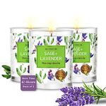 MAGNIFICENT 101 Pure Sage + Lavender Smudge Set of 3 Candles for House Energy Cleansing, Banish Negative Energy I Purification and Chakra Healing - Natural Soy Wax Candles for Aromatherapy