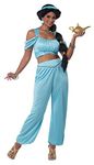 California Costumes, Classic Arabian Princess, Adult Medium, Jade