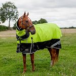 200g Mediumweight Rug, Gallop Hi Viz Horse Turnout Rug Combo Full Neck (6'9", Fluorescent)