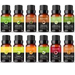 Elemensis Naturals Pure & Natural Basil, Bergamot, Cedarwood, Cinnamon, Frankincense, ylang ylang, Eucalyptus, Mandarin, Lemon, Patchouli, Rose, citronella essential oil, (Combo Pack of 12)