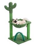 PEQULTI Cactus Cat Tree for Medium Cats with Arch Cat Self Groomer and Hammock, Cat Scratching Post for Indoor Kitten with Dangling Ball and Full Wrapped Natural Sisal Rope,Green