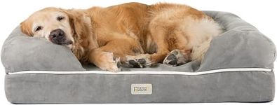 Friends Forever Orthopedic Dog Bed Lounge Sofa Removable Cover 100% Suede Mattress Memory-Foam With Bolster Rim Premium Prestige Edition Pewter Grey, XL 44 x 34