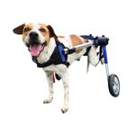 Dog Wheelchair - for Medium Dogs 26-49 Pounds - Veterinarian Approved - Dog Wheelchair for Back Legs