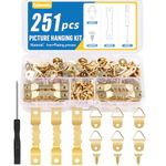 Caianwin 251Pcs Picture Hanging Kit, Wall Hooks for Hanging Pictures, Picture Hangers Set with Sawtooth, D Ring, Screws, Picture Hanging Tool for Photo Frames, Paintings, Mirrors (Gold)