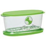 Prepworks by Progressive Fresh Fruit and Vegetable Keeper