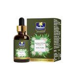 Parachute Advansed Eucalyptus Essential Oil, 14ml| 100% Pure | Strengthens Hair, Reduces Breakage | Helps to promote Hair Growth |Refreshes skin