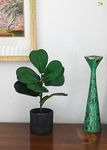 Blooming Floret Artificial Fiddle-Leaf Fig Plant | 27.9 cm Short | 9 Leaves | with Basic Black Pot Ornamental Plant for Interior Decor/Home Decor/Office Decor | Tropical Plant | Dustproof