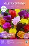 Gardener Bhabi Calla Lily Mix Flower Bulbs for Home Gardening | Grow All Season Flower Bulbs Set of 10