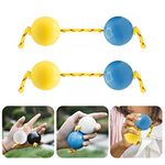 Aslatuas Rhythmic Ball Kashaka Instrument, Two Pair ABS Kashaka Music Egg Shakers, Double Gourd, Easy to Play for Adults and Teenagers at Parties, Shows (Blue Yellow)