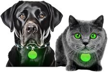 GLO-X Dog Glow Tag - Glow in The Dark Cat Tags to Keep Your Pets Safe at Night - 12+ Hours Glow Time - Charges in Daylight - Unlimited Recharges - No Batteries Required (1.38” & 1.10” Diameter)