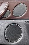 Carbon Fiber Car Audio Speaker Door