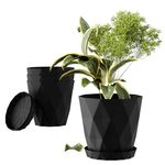 ELLVELLON Set of 5 | 6.5 Inch Flower Pots for Home Decoration, Indoor and Outdoor Plant Pots, Gardening Pots, Pots for Plants, Plastic Flower Pots for Garden Plants (Jet Black)