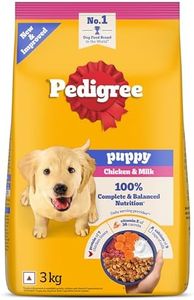 Pedigree P