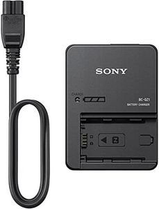 Sony BCQZ1