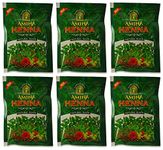 Amina Henna Natural Black Hair Colour Heena Mehndi, 25 g (Pack of 6)