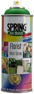 SPRING PRO FLORIST Deco Spray Paint (028 Signal Green)