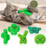 MALLMALL6 Catnip Toys for Cat - 5Pcs Cactus Prickly Plants Catmint Interactive Cat Toy for Indoor Cats, Soft Plush Green Cat Supplies, Kitten Teething Chew Toy Set, Cute Pet Gifts for Cat Lover