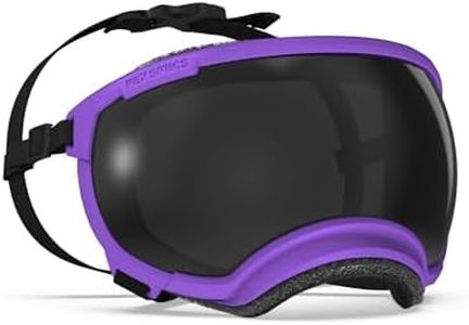 Rex Specs