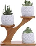 3pcs Owl Succulent Pots with 3 Tier