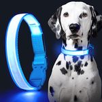 YFbrite Ultra Light USB Rechargeable LED Dog Collar - Adjustable Light up Dog Collar - Waterproof Dog Collar - Flashing Dog Collar Visiblity & Safety for Your Dogs (Design-2- Blue, Medium)