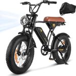 CYCROWN CycRun Electric Bike for Ad