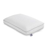 Sealy Essentials Memory Foam Pillow, Standard/Queen