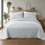 KASENTEX Large Luxurious Velvet Quilt Set, 3-Piece Stitch Bedding with Ultra Soft Lightweight Comforter and 2 Pillow Shams, Bedspread Coverlet for All Season, Oversized King, 112x106 in, Light Gray
