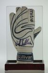 SIGNED GOALKEEPER GLOVE DISPLAY CASE