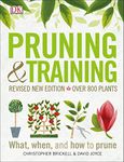 Pruning and Training, Revised New E