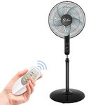 Floor Standing Fans