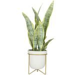 Deco 79 Faux Foliage Snake Artificial Plant with White Porcelain Pot, 14" x 13" x 25", Green