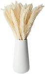 Farmlyn Creek Natural Dried Ivory Pampas Grass with Ceramic Vase for Wedding Reception, Table Centerpiece, Floral Arrangement, Rustic-Style Farmhouse Home Decor, 40 Bundles (16 in)