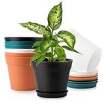 Monoture 8Pack 6in Plant Pots with 