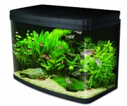 Luxury Fish Tanks