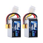 Zeee 6S Lipo Battery 1300mAh 22.2V 120C with XT60 Plug RC Graphene Battery for FPV Drone Quadcopter Helicopter Airplane RC Boat Car Racing Models(2 Pack)