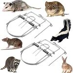 Small Animal Traps Mouse Trap,Spring Trapt Rodent Cage,Suit for Rat,Reusable, 2Pack