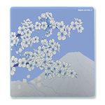 X-Raypad Aqua Control 2 Sakura Gaming Mouse Pad, Ultra-High Precision Mouse Pad with Perfect Speed and Control Capability, Consistent X and Y Glide, Designed for Fps Players with Low DPI Requirements