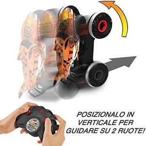 Slide 5