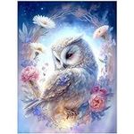 OWL Cross Stitch Stamped Kits for A