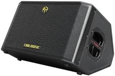 Coolmusic 300W Professional Acousti
