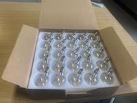shinytown 25 Pack G40 Globe Plastic LED Bulbs Outdoor Garden Festival String Light Replacements 240-220V 0.6W E12 Screw Base