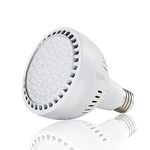 LED Pool Light Bulb 120V 65W 6500LM 6500K Daylight White LED Swimming Pool Light Bulb, Replaces up to 200-800W Traditionnal Bulb for Most Pentair Hayward Light Fixtures（NOT 12V）