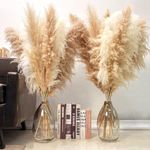 KAOHONG 40-inch Dried Natural Pampa